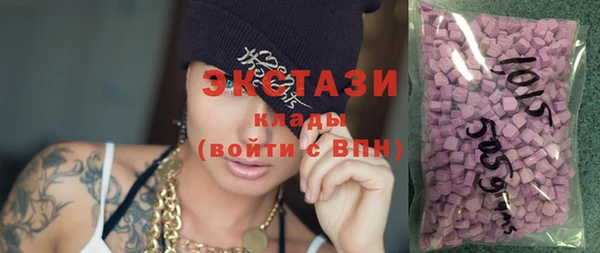сатива Бородино