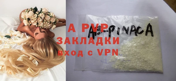 сатива Бородино
