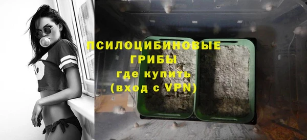 прущий лед Бронницы