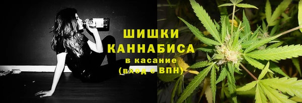 сатива Бородино