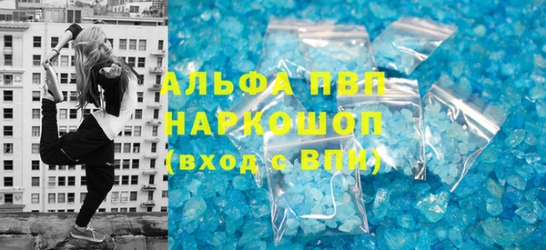 сатива Бородино
