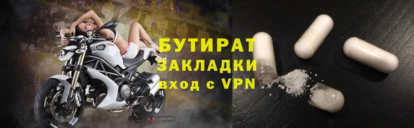 сатива Бородино