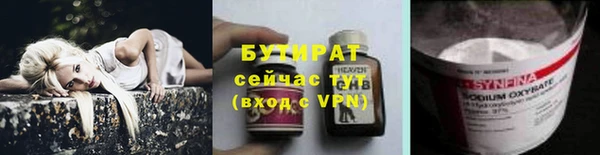 сатива Бородино