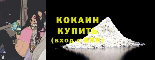 сатива Бородино