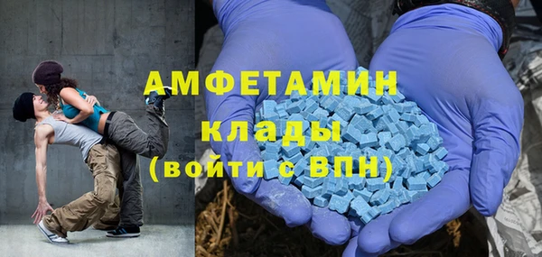 сатива Бородино