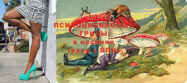 прущий лед Бронницы