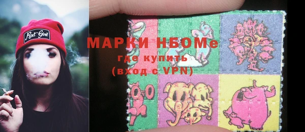 сатива Бородино