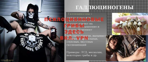 сатива Бородино