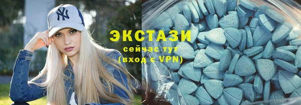сатива Бородино