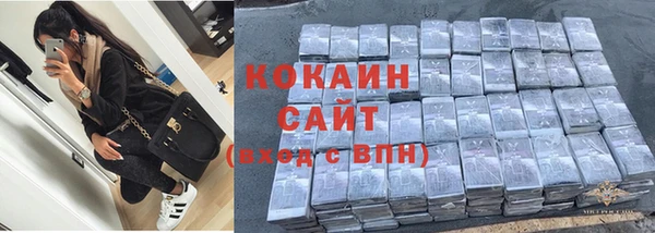 сатива Бородино