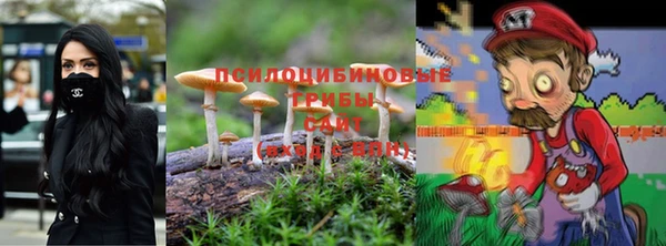 сатива Бородино